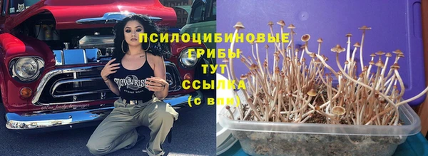 амф Покров